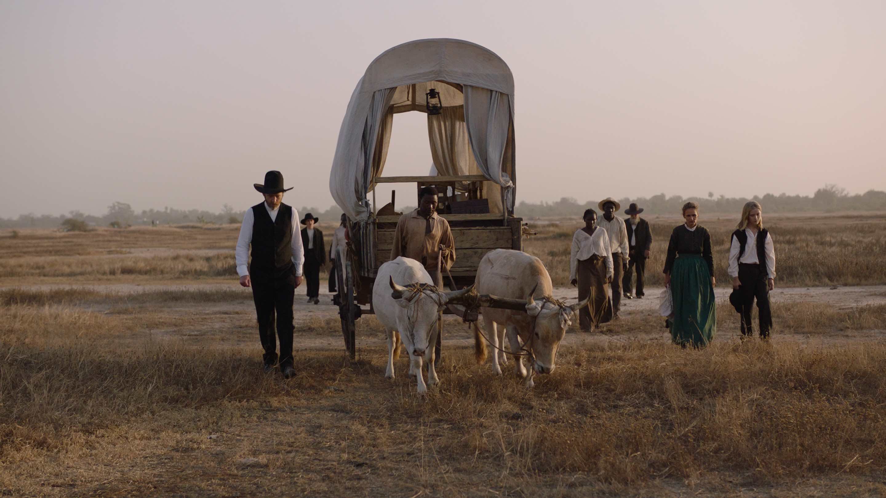 a wagon with bulls and people around